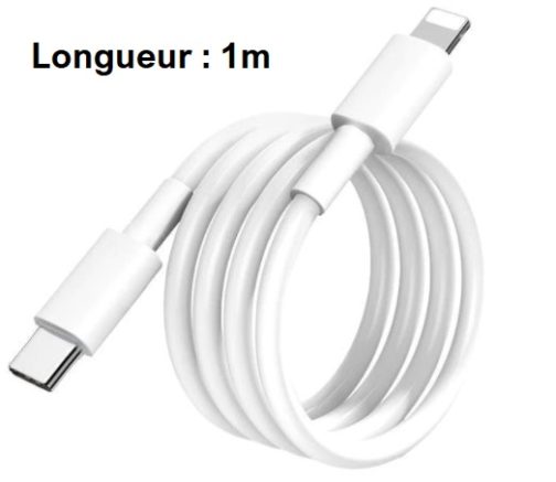 Câble USB Type C vers Lightning,1m Blanc, donnée et charge rapide (iPhone) – Image 3